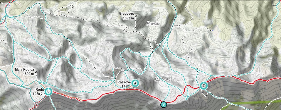mapzs_ts_rodica_raskovec