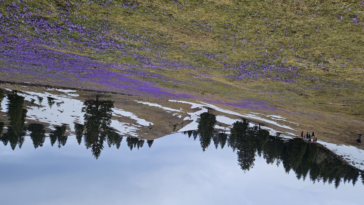 velika_planina_kvgn_2026__1_ velika_planina_kvgn_2026__1_