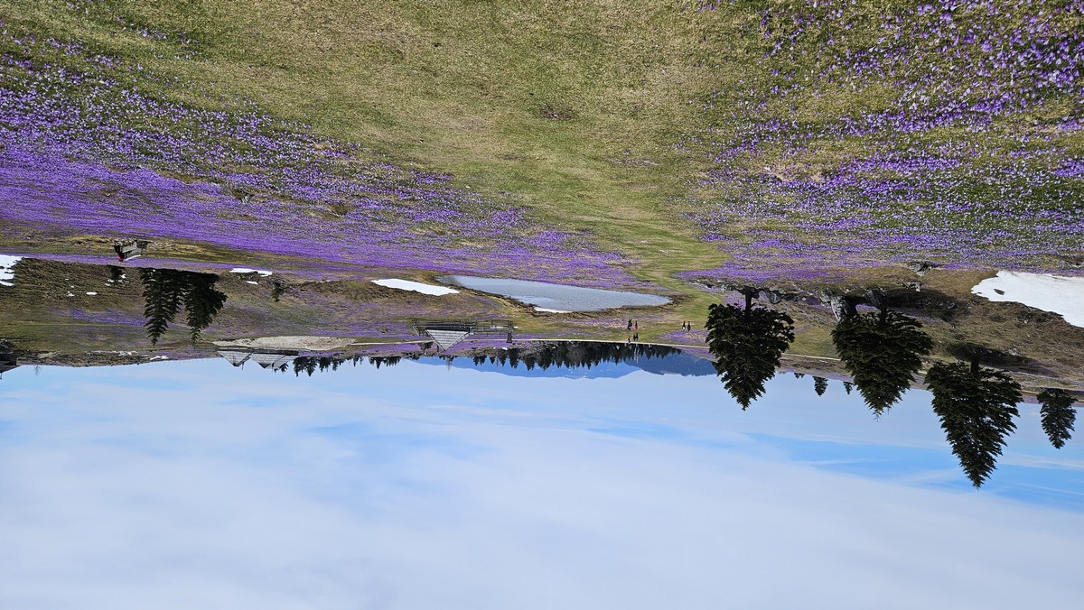 velika_planina_kvgn_2026__2_