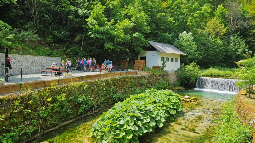 Divja narava v občini Loški Potok