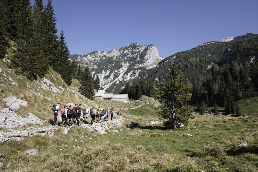 Vabilo - pohod na planino Javornik, 17. 12. 2023