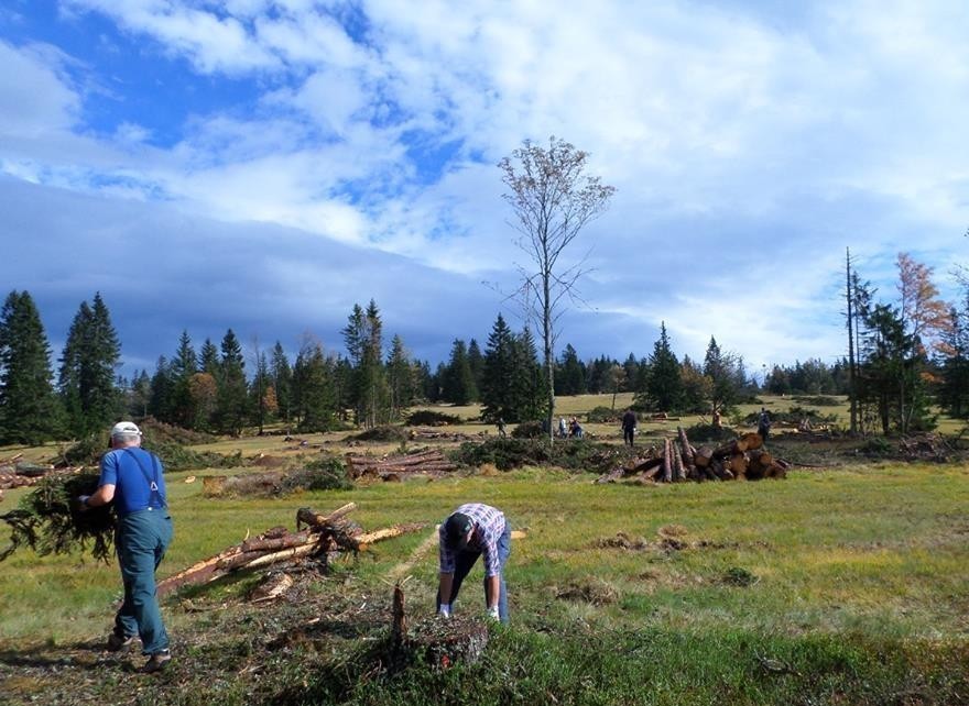 13. tradicionalna prostovoljna akcija čiščenja zaraščajočih travišč - planj na Pohorju
