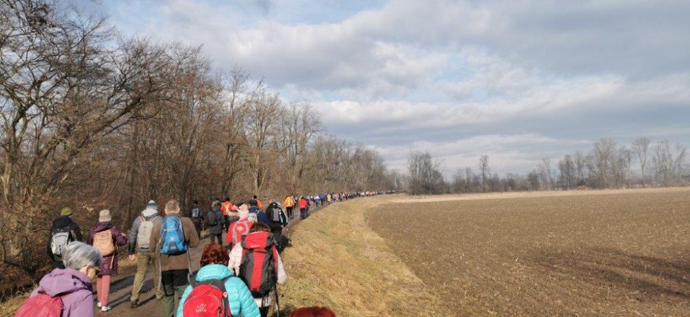Pohod ob Muri ob svetovnem dnevu mokrišč