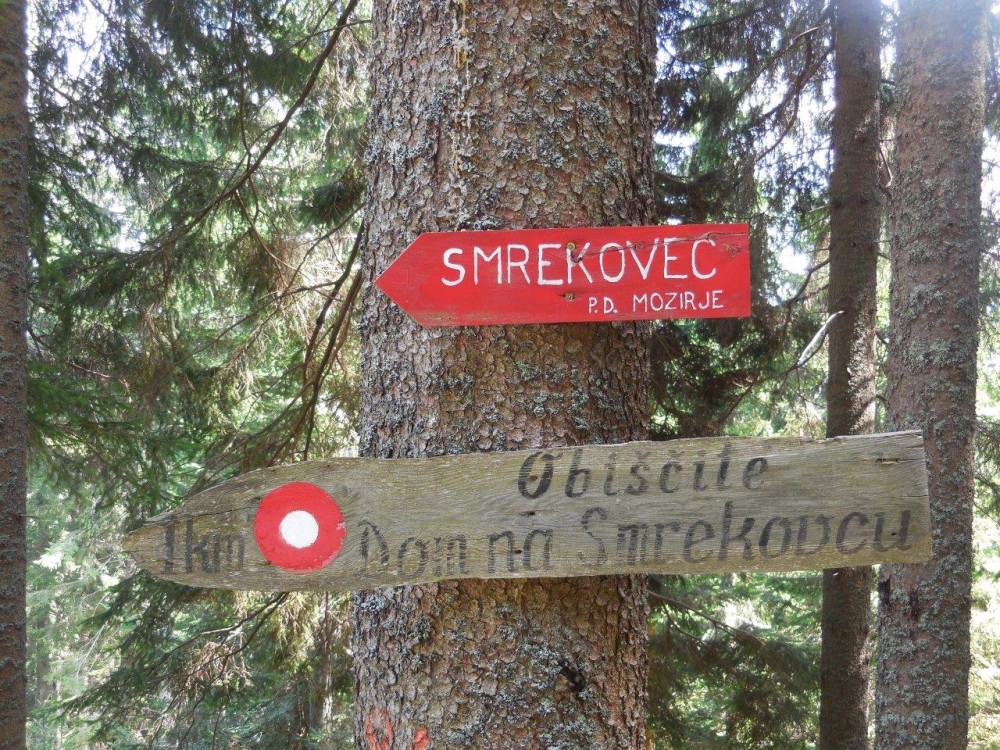 Naravovarstveni pohod na Smrekovško pogorje - 26. 7. 2025