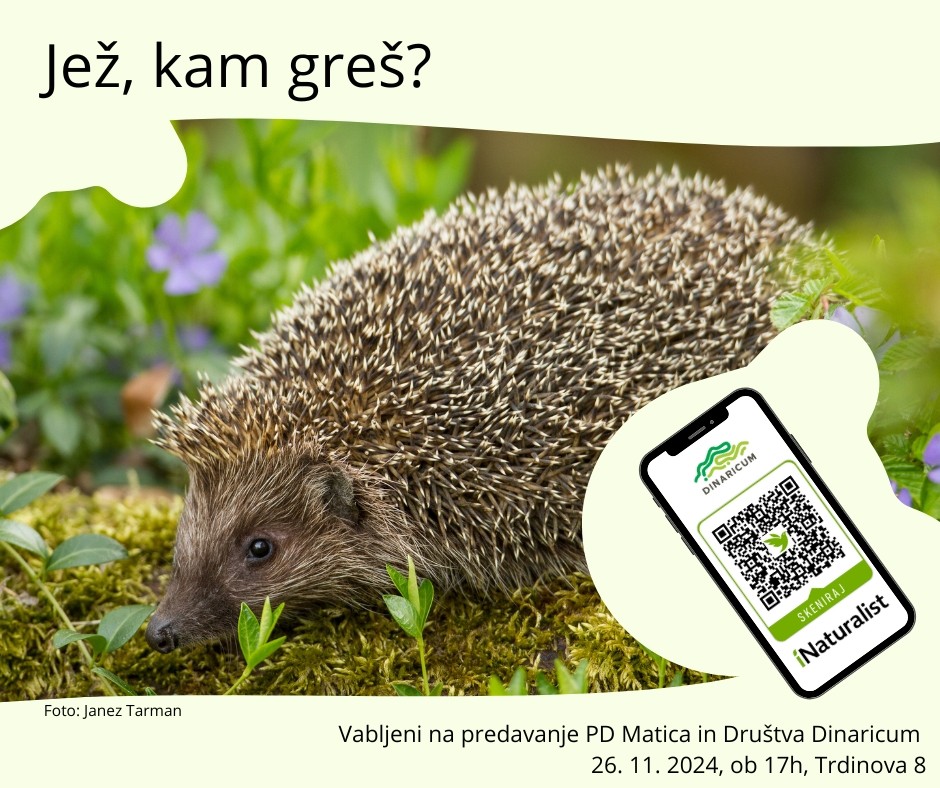 Predavanje o projektu