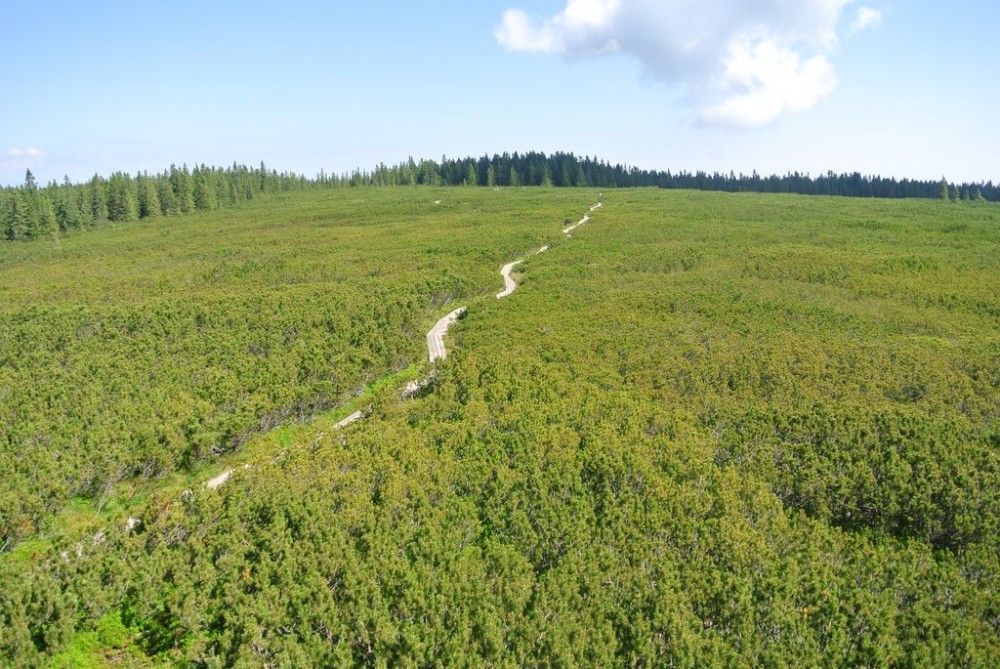 Dan za Pohorje - 25. maj 2024